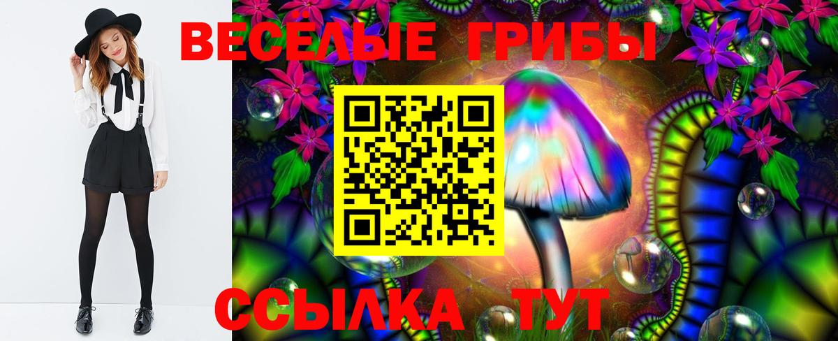 Псилоцибиновые грибы GOLDEN TEACHER  Вход с VPN  Зеленогорск  хочу   Галлюциногенные грибы GOLDEN TEACHER 